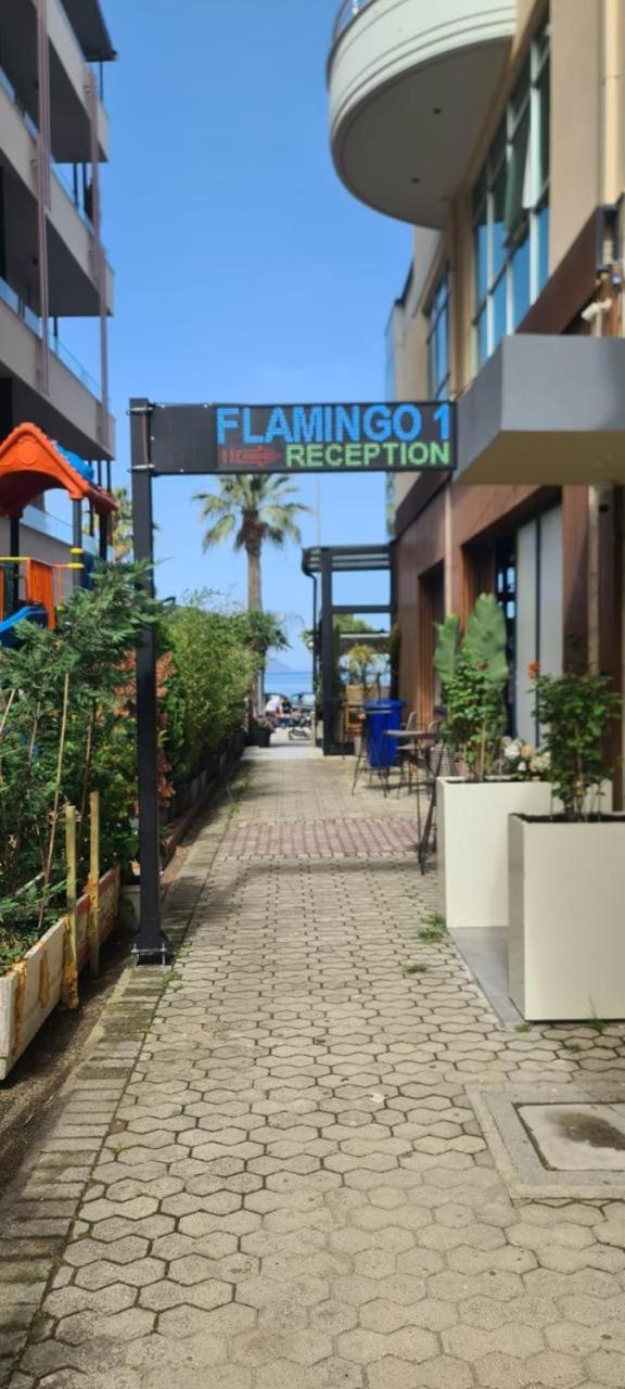 Flamingo1 *